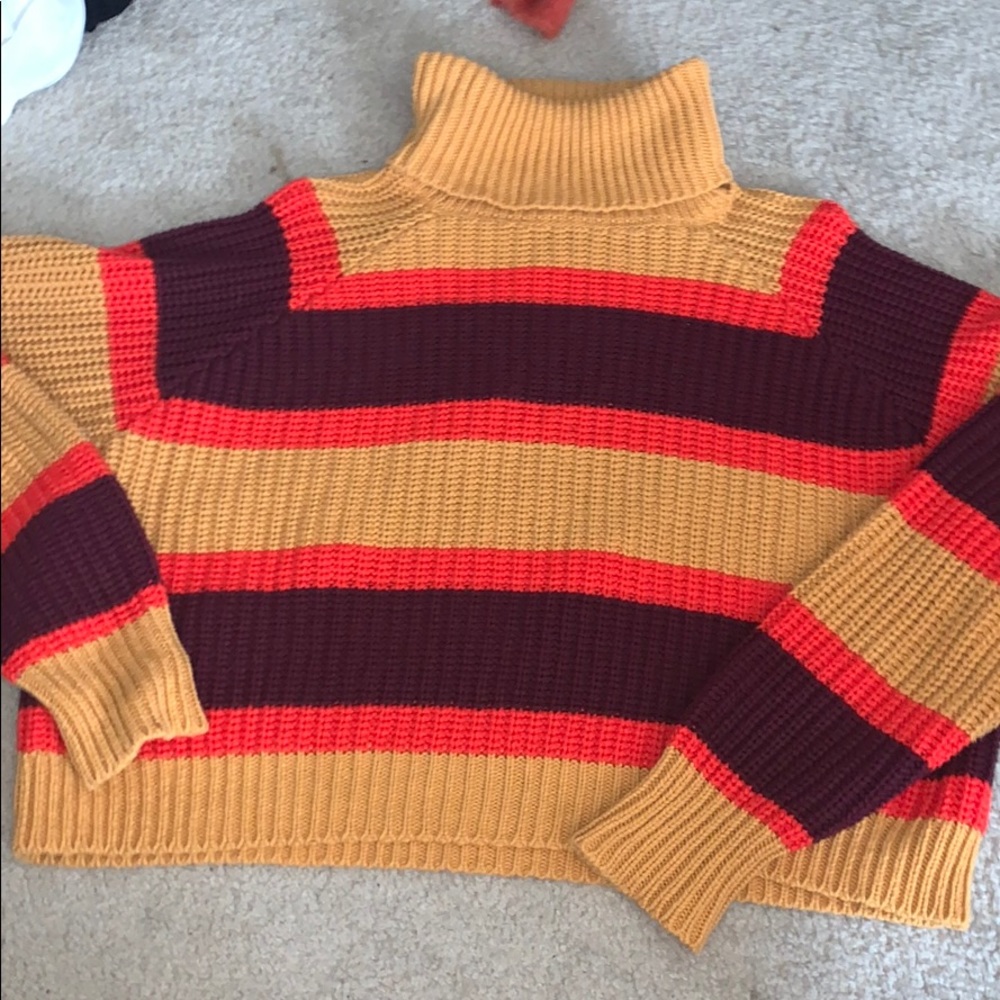 Striped Color Turtle Neck Sweater